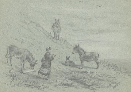 Margaret Forde Hancock - A Set of Four Late 19C Graphite Drawings, Horse Studies