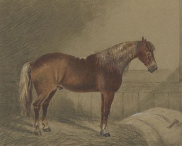 Margaret Forde Hancock - A Set of Three 1875 Watercolours, Strawberry Horses