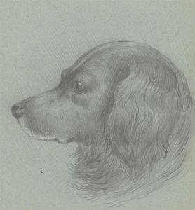 Margaret Forde Hancock - Late 19th Century Graphite Drawing, Duke