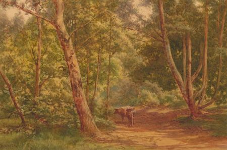 James Whaite (fl. 1881-1916) - Late 19th Century Watercolour, Woodland Clearing