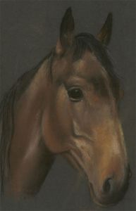 1980 Pastel - Head of a Horse