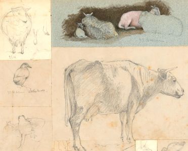 James Simpson Alderson (1856-1948) - Graphite Drawing, Farmyard Animals