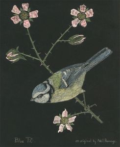 Neil Bonnage - Three 20th century Scratchboard Studies, British Birds