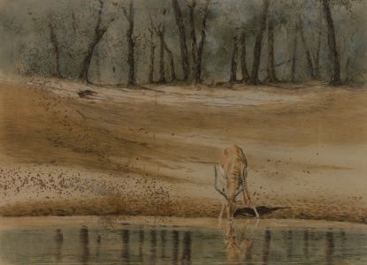 Kim Donaldson - Signed 20th Century Chalk Drawing, Impala At The Watering Hole