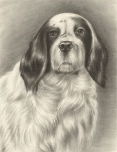 20th Century Charcoal Drawing - Portrait of a Dog