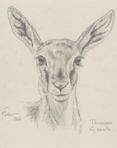 Henry E. Foster (1921-2010) - 1968 Graphite Drawing, Thomson's Gazelle