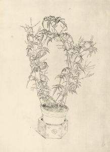 Gillian Whaite (1934-2012) - 20th Century Etching, Delicate Flowers