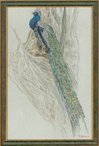 J. Jenkins - Signed & Framed 20th Century Coloured Pencil Drawing, The Peacock