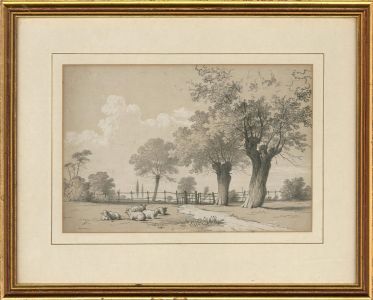 Framed 19th Century Graphite Drawing - Sheep in a Field