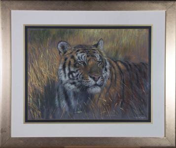 Joel Kirkin (b. 1948) - Signed & Framed Contemporary Pastel, Resting Tiger