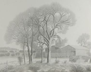 Ronald A. Broad - 1980 Graphite Drawing