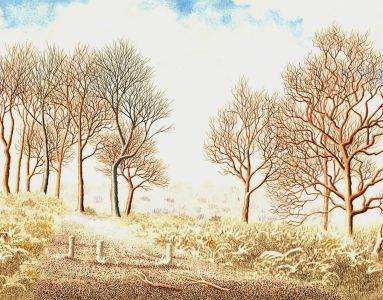 Ronald A. Broad - 1989 Watercolour, Rushpole Wood, The New Fores