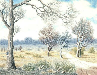 Ronald A. Broad - 1992 Watercolour, New Forest, Nr Lyndhurst, Hampshire
