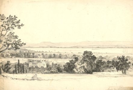 1837 Graphite Drawing