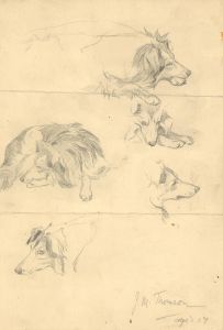 John Murray Thompson (1885-1974) - Studies of Dogs