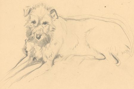 John Murray Thompson (1885-1974) - 20th Century Graphite Drawing, Study of a Dog