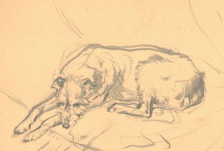 John Murray Thompson (1885-1974) - 20th Century Graphite Drawing, Sleepy Dog