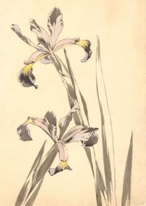 Early 20th Century Japanese Woodblock - Two Irises