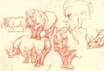 Ronald Olley (b.1923) - Mid 20th Century Graphite Drawing, Study of Rhinos