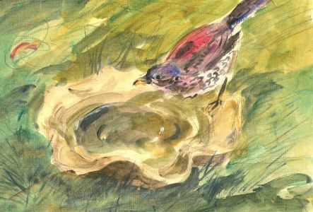 Ronald Olley (b.1923) - Mid 20th Century Watercolour, The Thirsty Bird