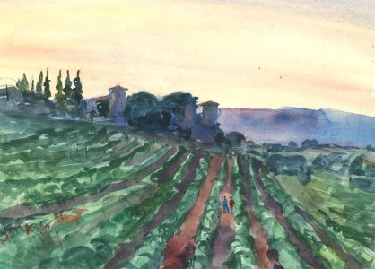 Ronald Olley (b.1923) - Mid 20th Century Watercolour, Italian Vineyard