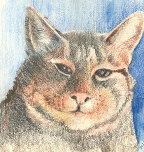 M.D. - 1991 Pastel, Smiling Cat