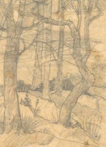 Marcus Algernon Adams (1875-1959) - Four Studies of Nature