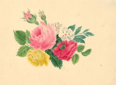 Catherine Board - Early 19th Century Watercolour, Summer Roses