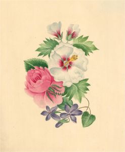 Catherine Board - Early 19th Century Watercolour, Flowers Of Love
