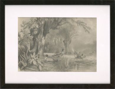 1866 Graphite Drawing - Ducks in the Pond