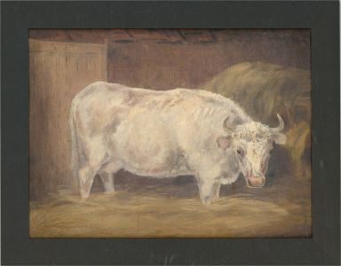 1870 Oil - White Cow