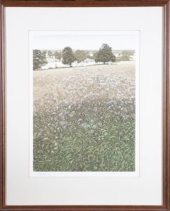 Graham Evernden (b.1947) - 20th Century Aquatint, Cornfields