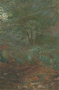 Late 19th Century Oil - In the Undergrowth