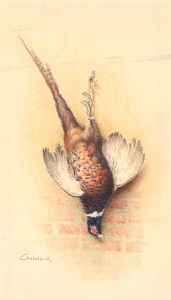 Chabellard - Signed & Framed Mid 20th Century Watercolour, Hung Pheasant