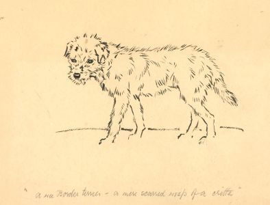 John Murray Thompson (1885-1974) - Pen and Ink Drawing, A Wee Border Terrier