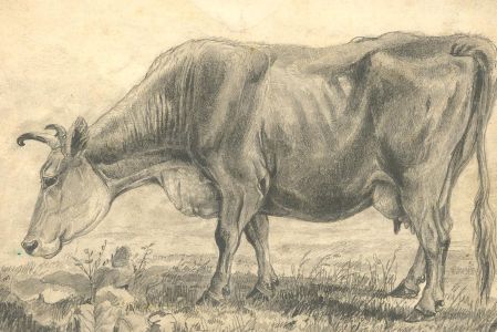 19th Century Graphite Drawing - Grazing