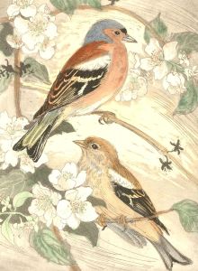 David Koster (1926-2014) - Contemporary Etching, Chaffinches