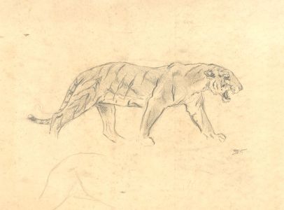 Raymond John Vandenbergh (b.1889) - Early 20th Century Graphite Drawing, Tiger