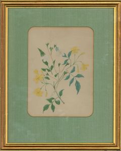 Framed Late 19th Century Watercolour - Yellow Wildflowers