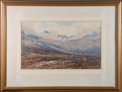 Edward Arden (Tucker) (1830-1909) - 19th Century Watercolour, Highland Deer