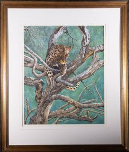 Terence Balm - Large Contemporary Watercolour, Leopard in a Tree