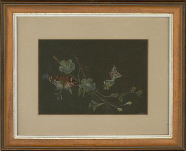 D. Slater - 20th Century Gouache, Butterfly