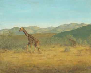Bernard Garn - 20th Century Oil, Two Giraffes in African Landscape
