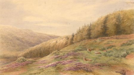 19th Century Watercolour - Highland Stags