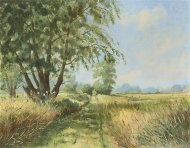 David Hardcastle - 20th Century Oil, Damgate Lane, Acle