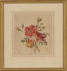 Late 19th Century Watercolour - Summer Flowers