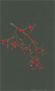 Early 20th Century Watercolour - Red Frond