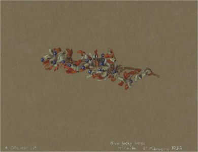 1932 Watercolour - Blue Lucky Bean