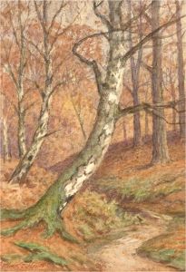 Arthur E. Strutt - Late 19th Century Watercolour, Autumn Woodland