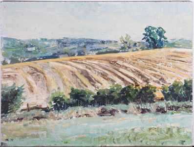 SPR - 1973 Oil, Fallow Field